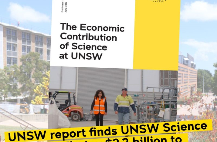 UNSW econ report banner