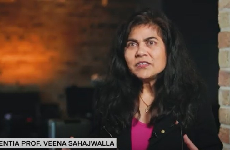 Veena good design award video snapshot